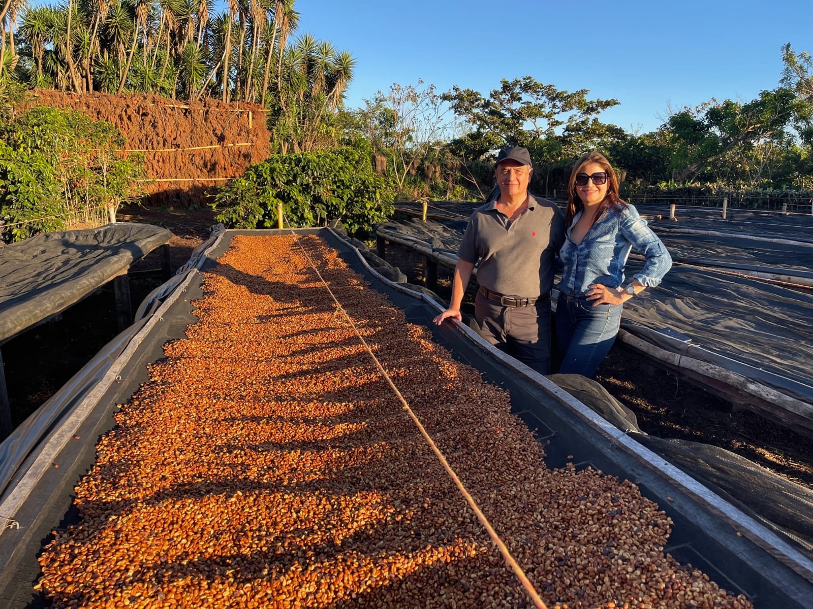 El Salvador / Carlos Pola Pachanga Las Brisas – Wavelength Coffee