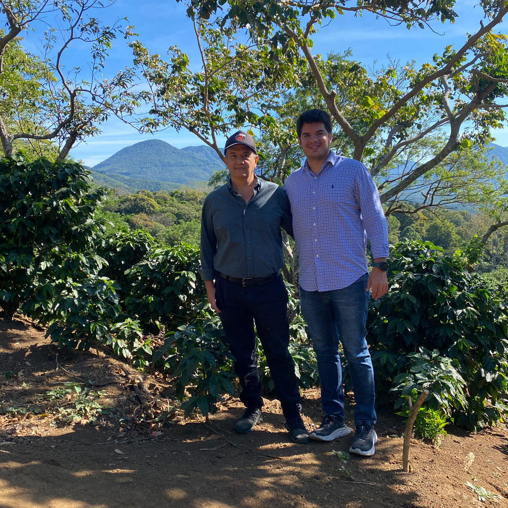 El Salvador / Carlos Pola Pachanga Las Brisas – Wavelength Coffee