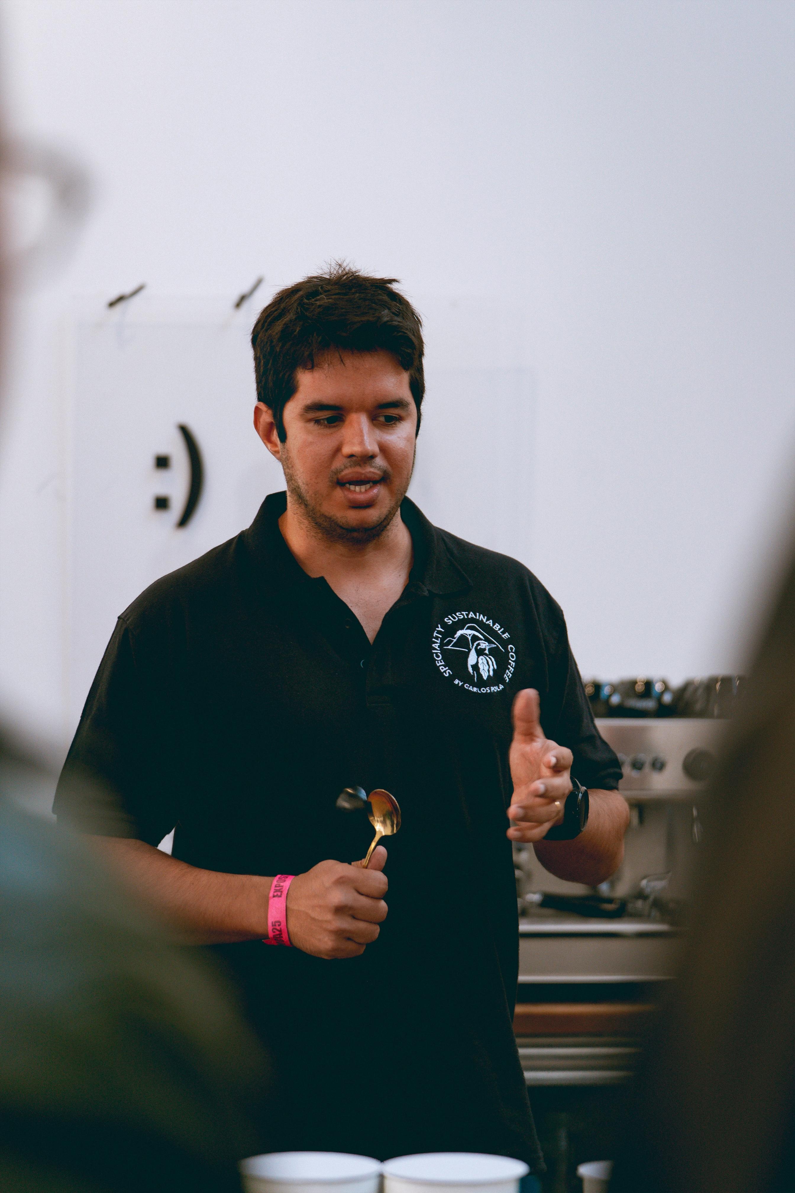El Salvador / Carlos Pola Anaerobic Pacamara – Wavelength Coffee