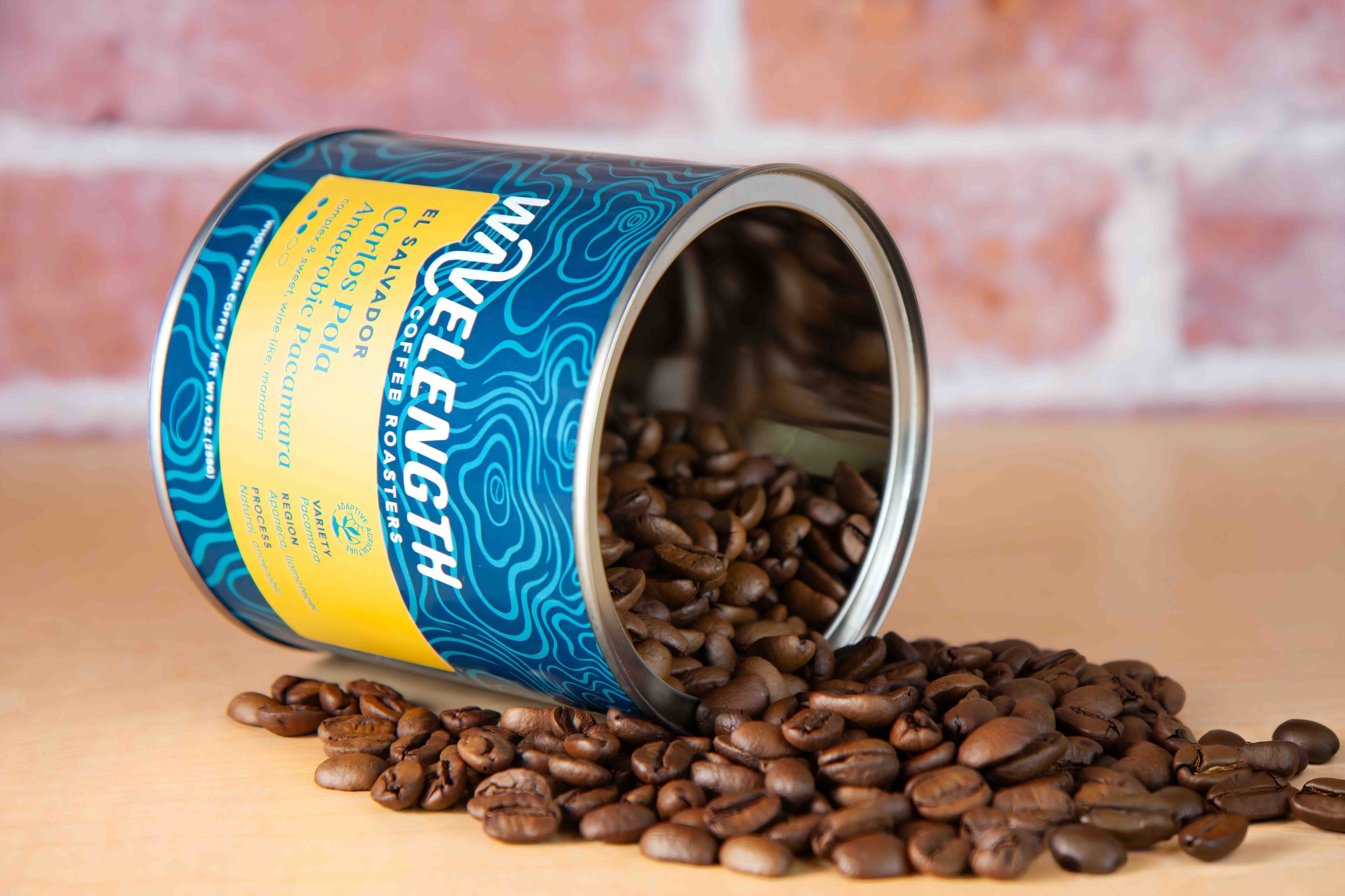 El Salvador / Carlos Pola Anaerobic Pacamara – Wavelength Coffee