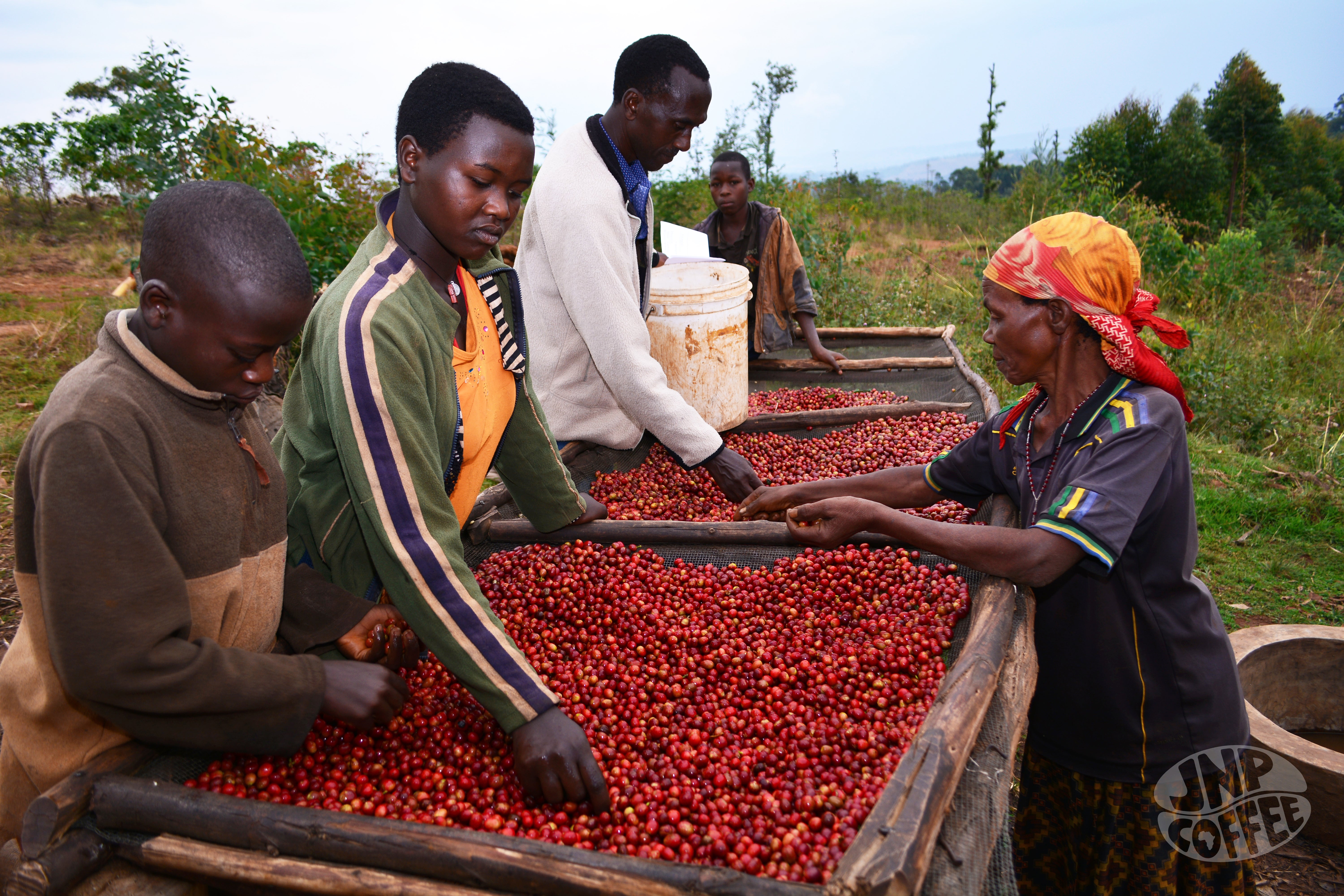Burundi / Karuzi Ubuto – Wavelength Coffee Roasters